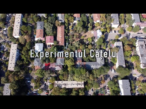 ISTORIILE ORAŞULUI (III) | EXPERIMENTUL CĂȚELU | TVR CULTURAL