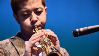 RED DRAGONFLY - 赤とんぼ AKA TOMBO