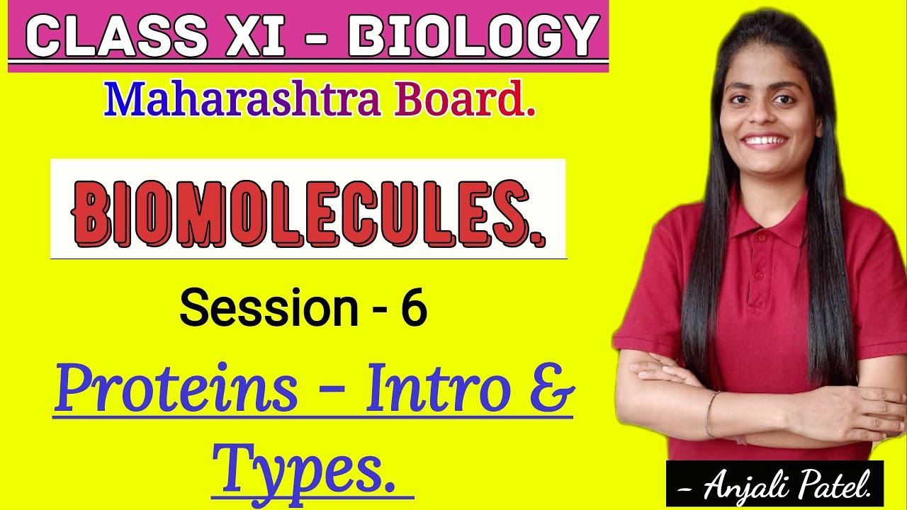 Class XI Biology - Biomolecules- Proteins : Introduction and it's types.
