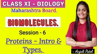 Class XI Biology - Biomolecules- Proteins : Introduction and it's types.