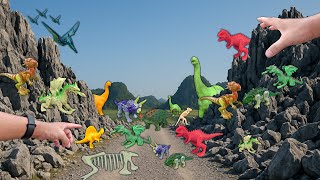 Hunting Dinosaur All Character : Parasaurolophus, T-rex, Spinosaurus, Ankylosaurus, Stegosaurus