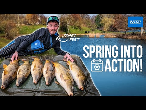 Catch More Carp In Spring: Commercial Match Fishing Tips & Techniques | James Peet | Makins Fishery