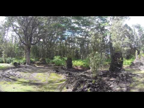 Lava Tree Park On Big Island, Hawaii-UHD 4K