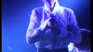 and also the trees 1993 04 21 merchtem groovy times a room lives in lucy