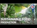 Planet SOS Iceland Pioneering Sustainable Food Production