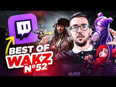 BEST OF WAKZ #52 : LA VÉRITÉ SUR LES STREAMERS