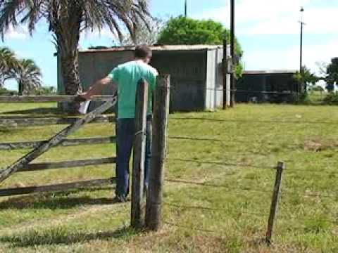 Parada Rivas - Departamento de Paysandú.