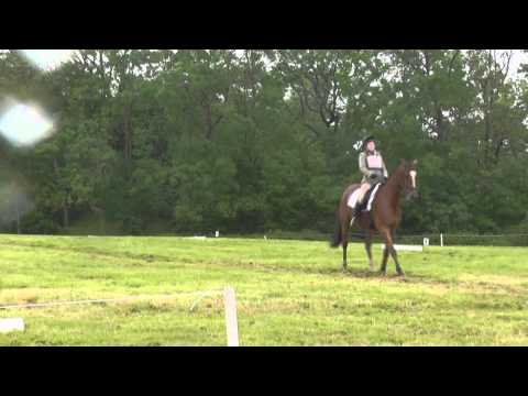 Standlynch Accolade, Borde Hill ONu18 - 2nd