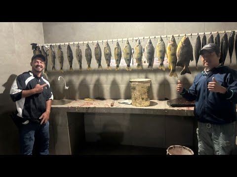 Pescaria de Piapara em Pauliceia-SP