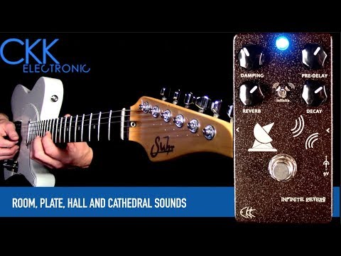 CKK Infinite Reverb -Space Reverb with Infinite  Mode Suitable for Acoustic and Finger Style image 3