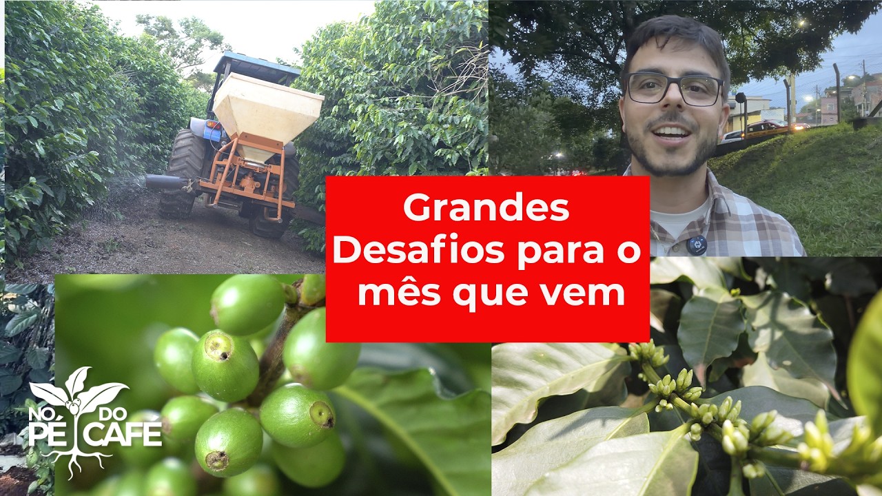 EM NOVEMBRO, sua LAVOURA vai PRECISAR DISSO...FIQUE ATENTO!!