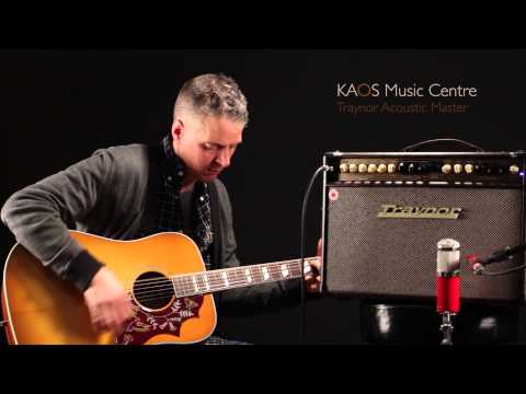TRAYNOR AM STANDARD Acoustic Masters Series Guitar / Vocal Combo Amplifier image 6