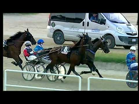 Napoli Trotto 25/06/2022 - 2ª corsa