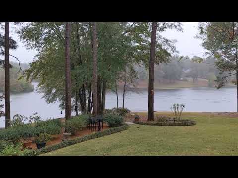 FLOCK OF GEESE ON LAKE TRAILWOOD, PETAL, MS 11 5 2022