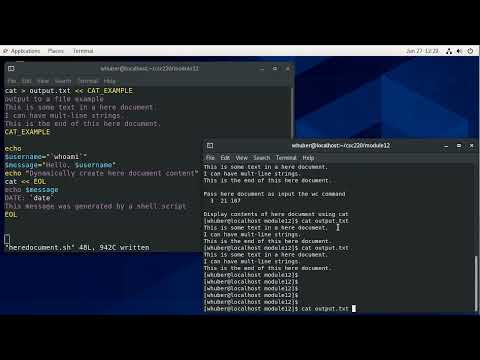 Bash Shell Programming Here Documents