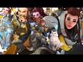A beginners beginner guide to Brigitte