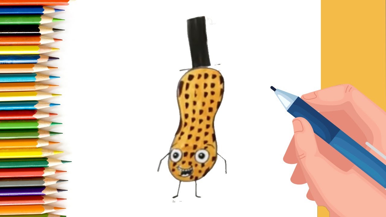 How To Draw cartoon peanut for Kids