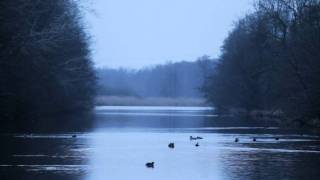 preview picture of video 'Eider, Steinfurter Mühle und Strohbrück'