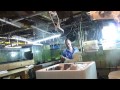 1816 Philipines Mothers Day Part Five Carls Aquarium