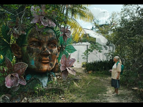 Прев'ю відео