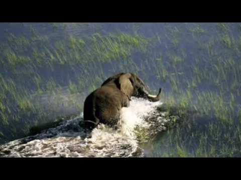 Mwaina shani - Serenje kalindula (Wisdom Destroyer Nkhandu) kalindula Zambia