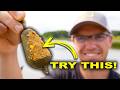 Feeder Fishing Made Easy!