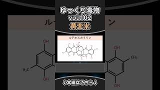 黄変米　shortゆっくり毒物　#ゆっくり解説#毒#毒物#黄変米
