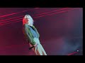 Linkin Park Heavy Is The Crown Live 4K Hannover Germany June 16 2025