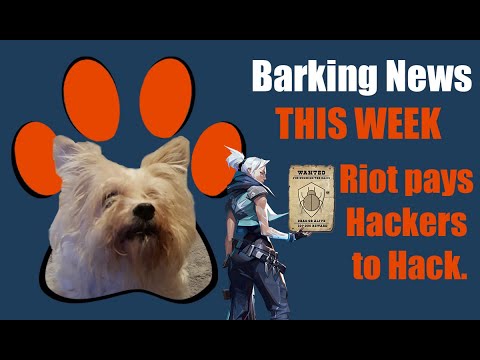 Riot Games pays Hackers to break Valorant's anti-cheater system - Barking News