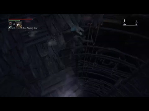 Bloodborne new run
