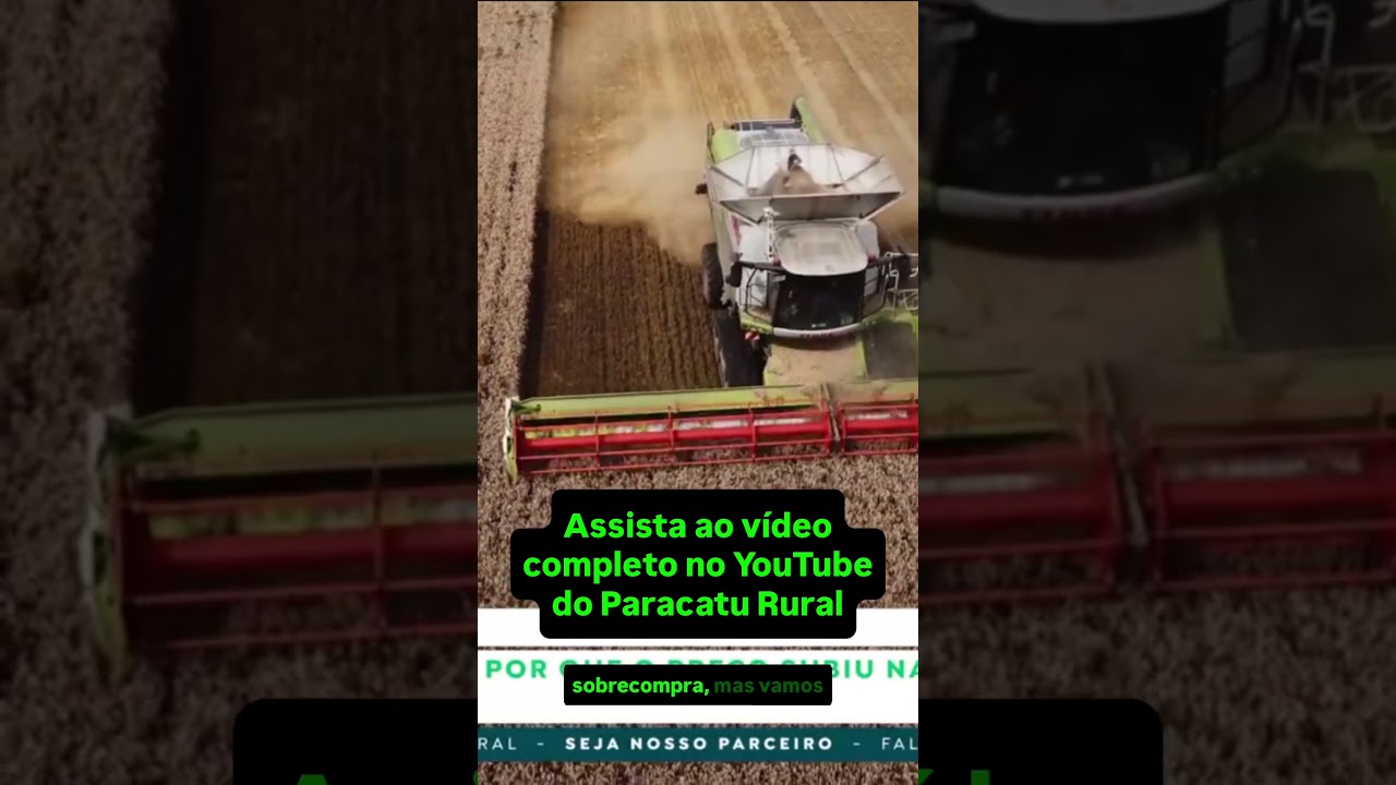 Preço do milho subiu; cotações podem crescer ainda mais