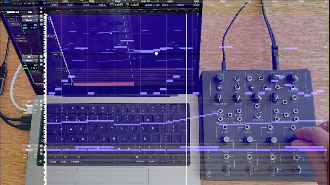 Orgeldream WOAS Aleatoric Drum Machine - Other Gear - Elektronauts
