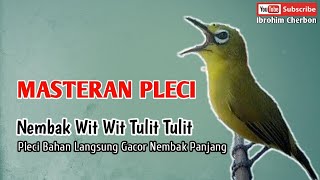 Download lagu MASTERAN PLECI||NEMBAK WIT WIT TULIT TULIT||Pleci Bahan Langsung Gacor Nembak Panjang mp3 Download lagu MASTERAN PLECI||NEMBAK WIT WIT TULIT TULIT||Pleci Bahan Langsung Gacor Nembak Panjang mp3