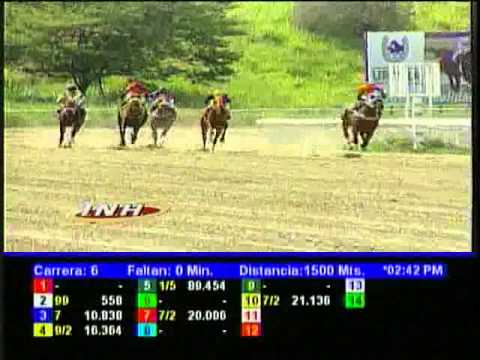 Resumen Sábado, 31 de Agosto de 2013 - La Rinconada