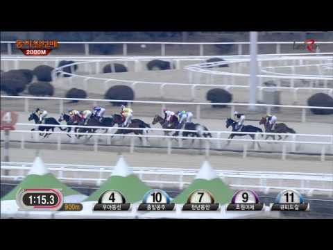 2015  Donga Ilbo Trophy