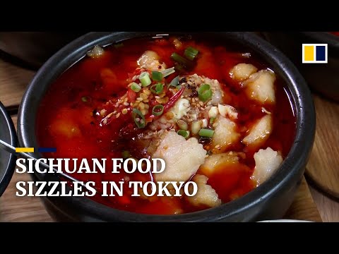 A autêntica culinária chinesa de Sichuan chega ao cenário gastronômico de Tóquio
