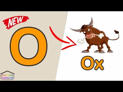 كلمات تبدا بحرف O
