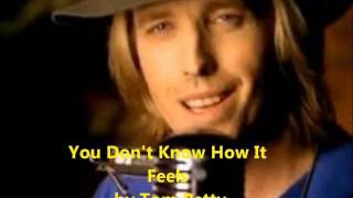 You Don&#39;t Know How It Feels, Tom Petty (Lyrics on screen)