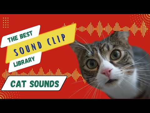 Cat Sounds - Vol 1 - Royalty Free Sounds (HD)