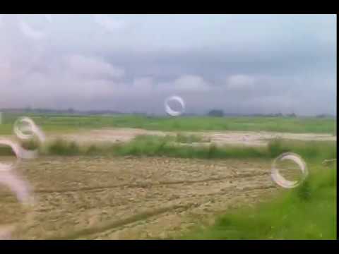 Pauni village sohani mansoon videoThanagaddi 🏡🏞️🌳🍁🕊️💖🛣️ SOHANI Village Video Thanagaddi Nature Video