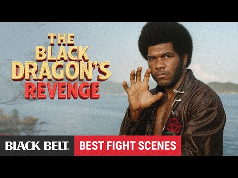 Best Action Scenes from The Black Dragon's Revenge feat. Ron Van Clief