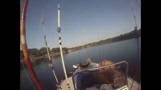 preview picture of video 'Boating at Alafia River, Riverview, Florida'