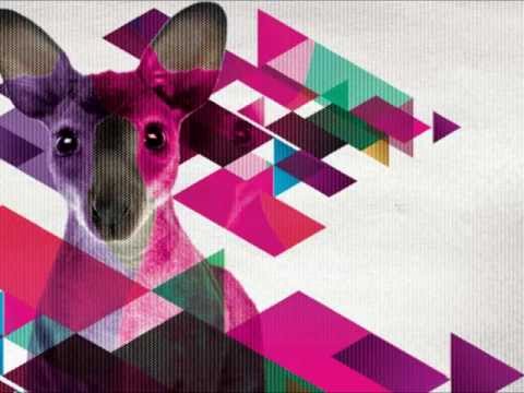 Sander Van Doorn & Julian Jordan Vs. Hard Rock Sofa - Kangaroo Starlight (Dirty Bossa Bootleg)