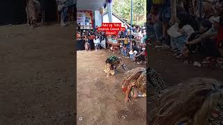 Download lagu Ada Yg Tahu Gedruk Cewek Ini Siapa? #gedruk #gaboetwasesa #jathilan #viral #cantik #shorts mp3