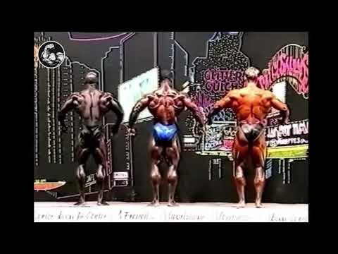 Gran Prix da Alemanha 1995