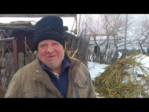 Dumitru Cobascan, Coarnele Caprei