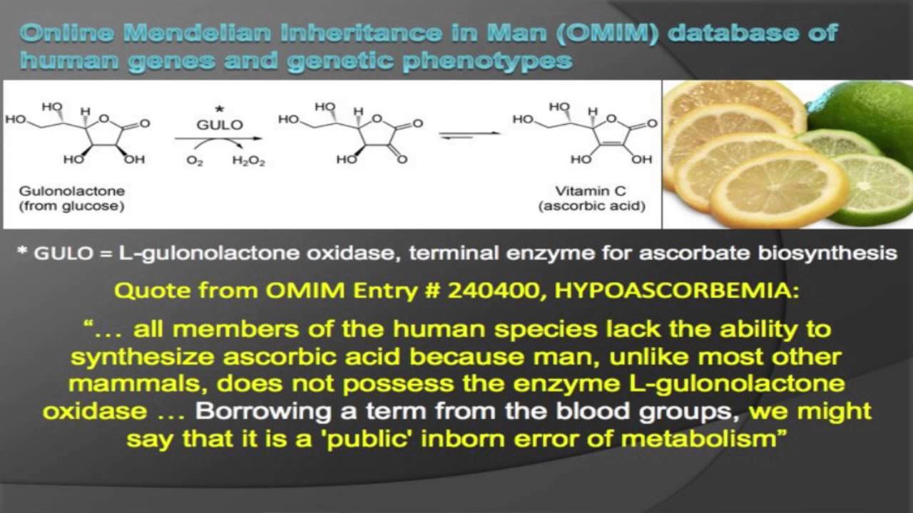 The essential role of retroviruses in evolution | Ethan W Taylor | TEDxHighPoint - YouTube