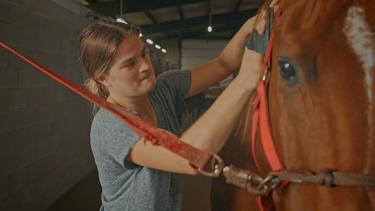 View from the Hill - Equestrian Team making a comeback  Video Preview