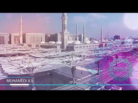 DËSHIRA PËR PËRJETËSI - PJESA 8