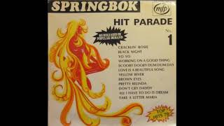 Brown Eyes (Chris Andrews cover) ..... SPRINGBOK HIT PARADE 1